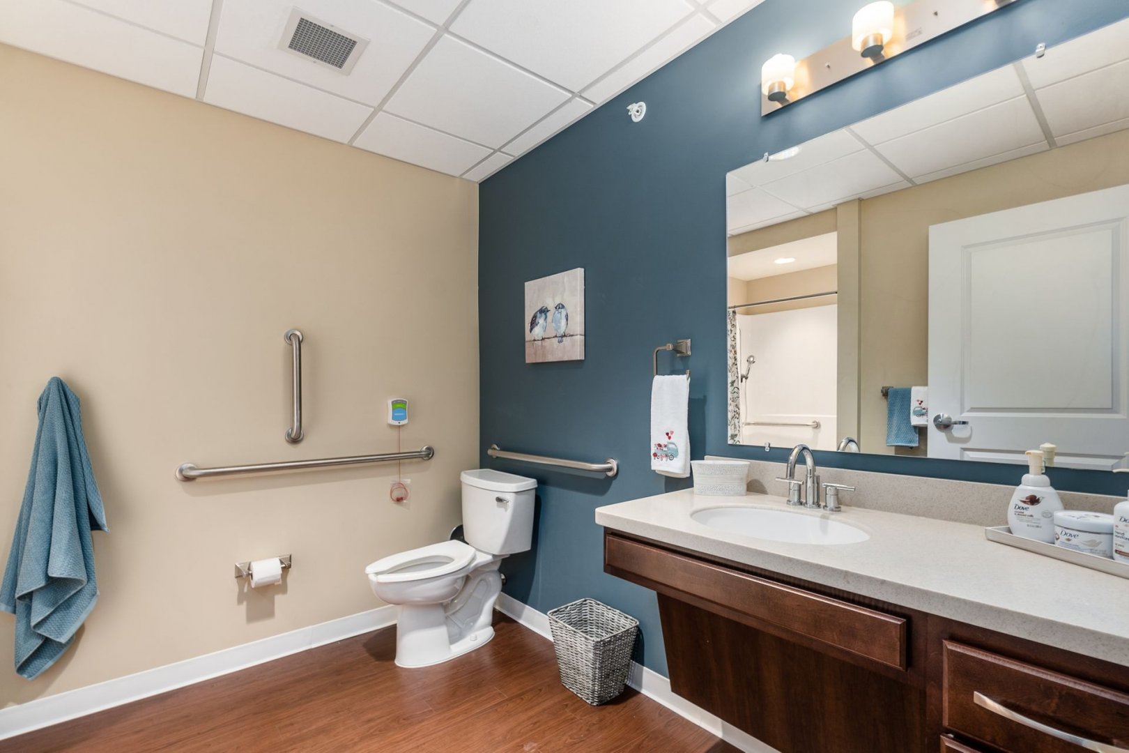 Modern bathroom with accessible features including grab bars, a toilet, and a vanity with a mirror.